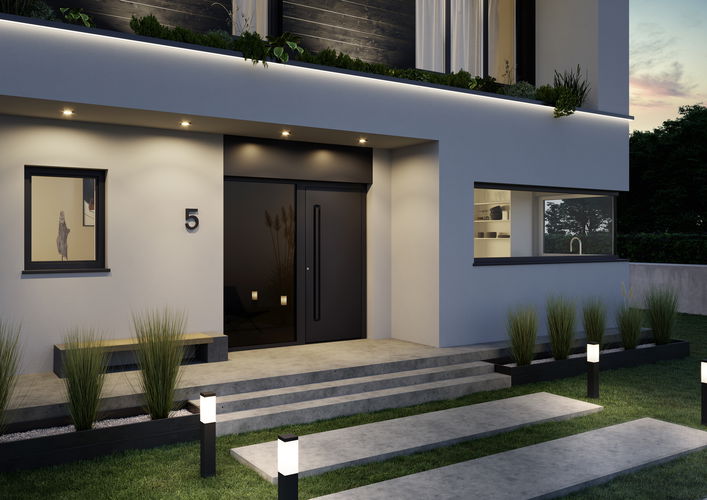 Modern External Flush Door